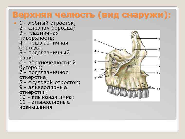 Верхняя правая