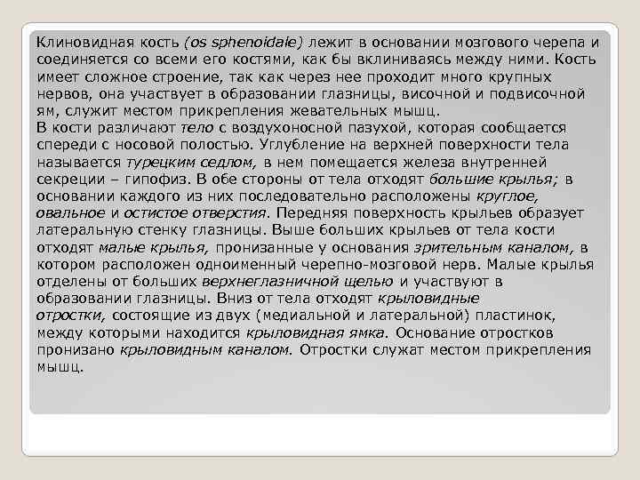 Клиновидная кость (os sphenoidale) лежит в основании мозгового черепа и соединяется со всеми его