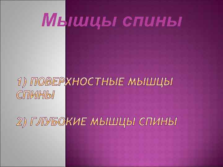 Мышцы спины 