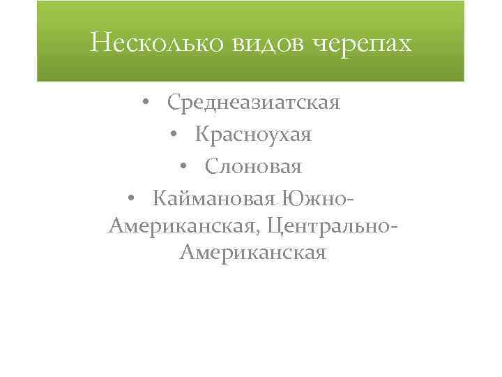 Несколько видов черепах • Среднеазиатская • Красноухая • Слоновая • Каймановая Южно. Американская, Центрально.