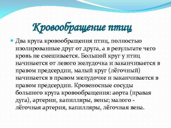 Кровообращение птиц Два круга кровообращения птиц, полностью изолированные друг от друга, а в результате