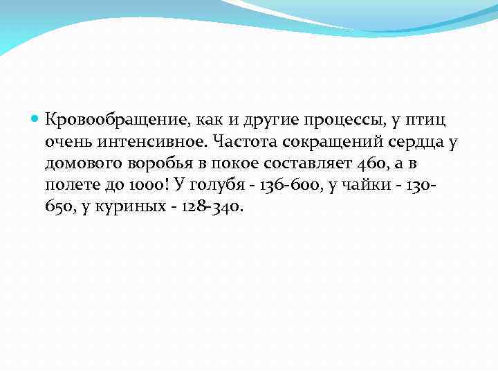  Кровообращение, как и другие процессы, у птиц очень интенсивное. Частота сокращений сердца у