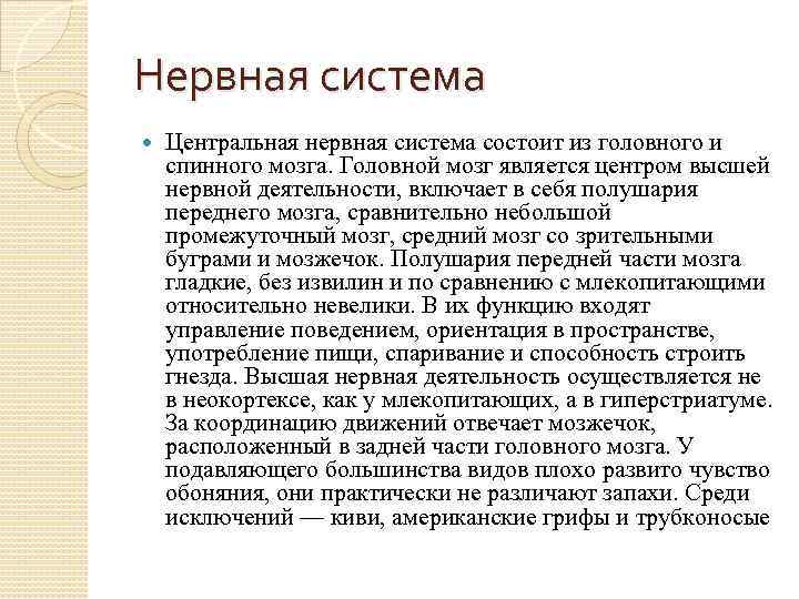 Нервная система Центральная нервная система состоит из головного и спинного мозга. Головной мозг является