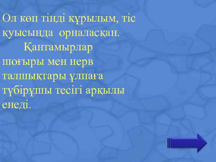 Ол көп тінді құрылым, тіс қуысында орналасқан. Қантамырлар шоғыры мен нерв талшықтары ұлпаға түбірұшы