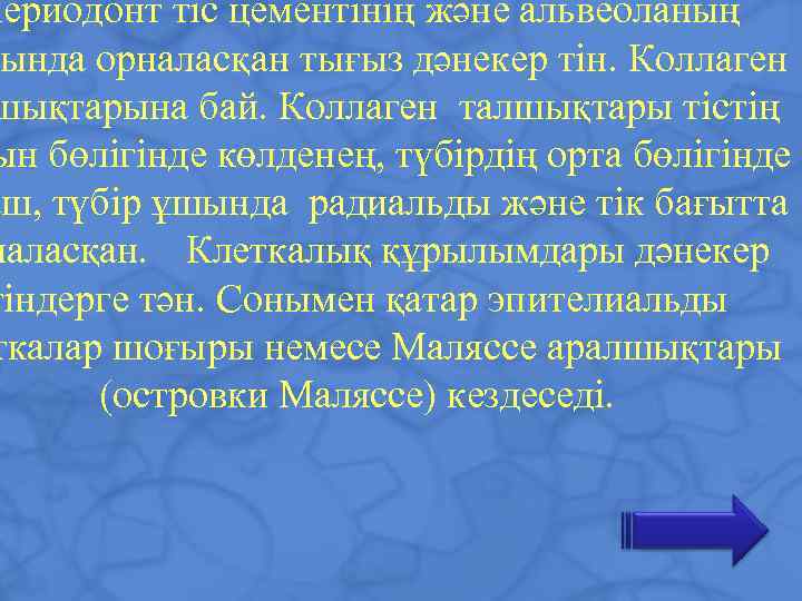 Периодонт тіс цементінің және альвеоланың ында орналасқан тығыз дәнекер тін. Коллаген шықтарына бай. Коллаген