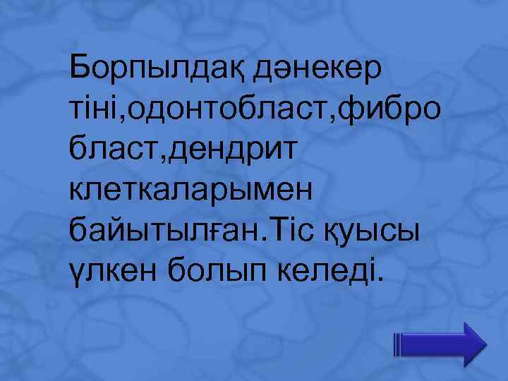 Борпылдақ дәнекер тіні, одонтобласт, фибро бласт, дендрит клеткаларымен байытылған. Тіс қуысы үлкен болып келеді.
