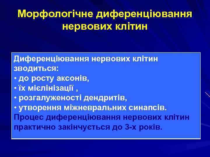 Морфологічне диференціювання нервових клітин Диференціювання нервових клітин зводиться: • до росту аксонів, • їх