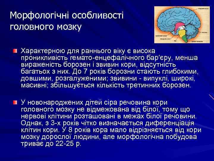 Морфологічні особливості головного мозку Характерною для раннього віку є висока проникливість гемато-енцефалічного бар’єру, менша