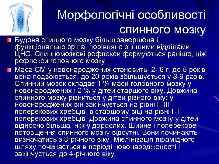 Морфологічні особливості спинного мозку Будова спинного мозку більш завершена і функціонально зріла, порівняно з