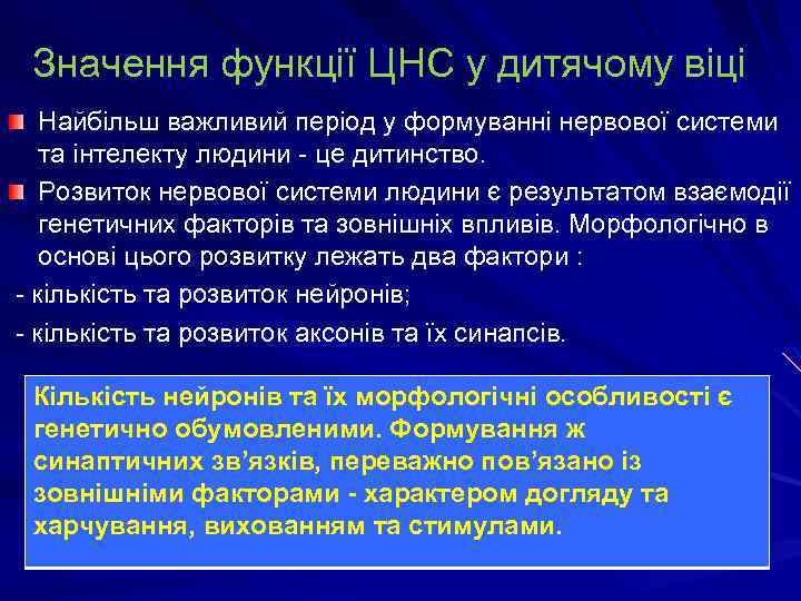 Значення функції ЦНС у дитячому віці Найбільш важливий період у формуванні нервової системи та