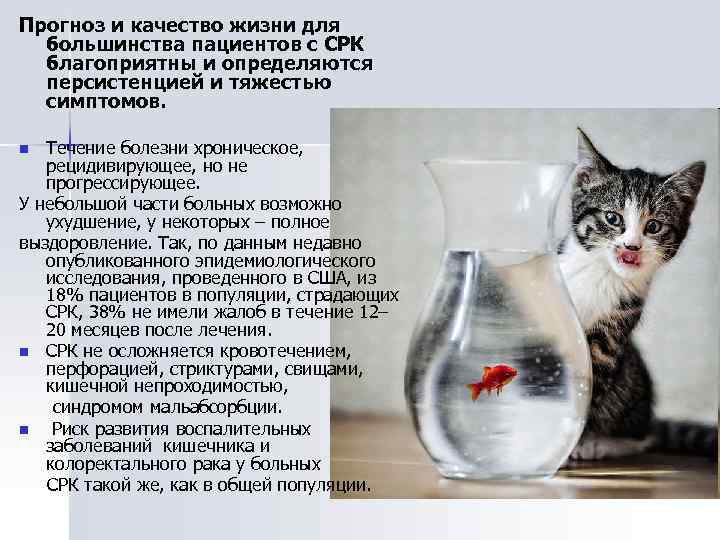 Прогноз и качество жизни для большинства пациентов с СРК благоприятны и определяются персистенцией и