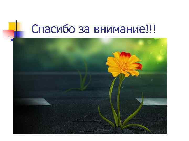 Спасибо за внимание!!! 