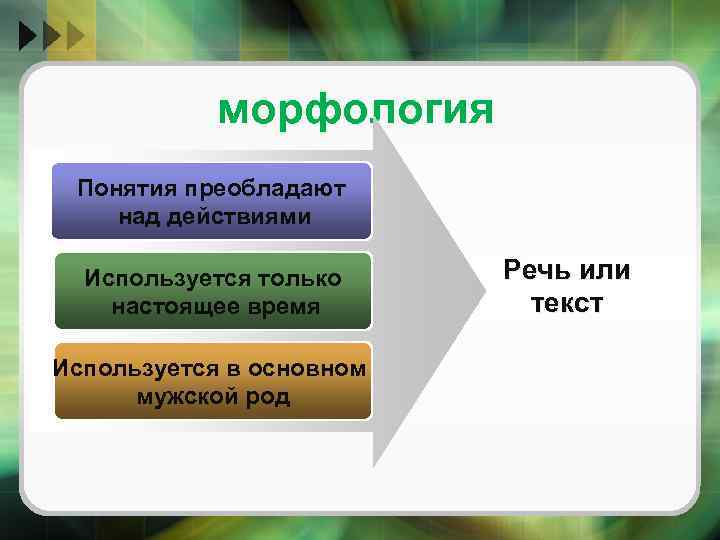 морфология Понятия преобладают над действиями Используется только настоящее время Используется в основном мужской род