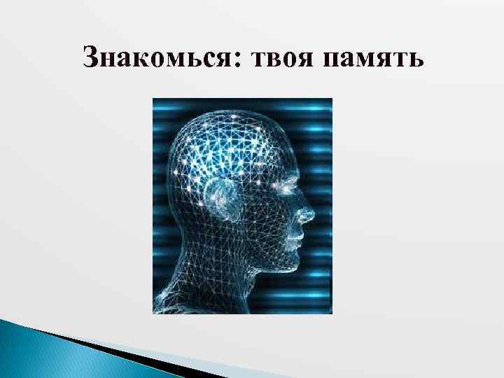 Знакомься: твоя память 