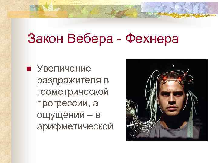 Закон Вебера - Фехнера n Увеличение раздражителя в геометрической прогрессии, а ощущений – в