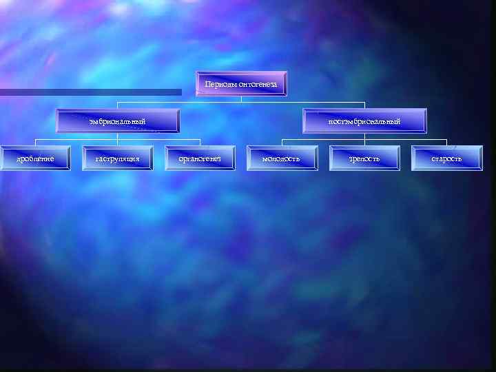 Периоды онтогенеза эмбриональный дробление гаструляция постэмбриональный органогенез молодость зрелость старость 