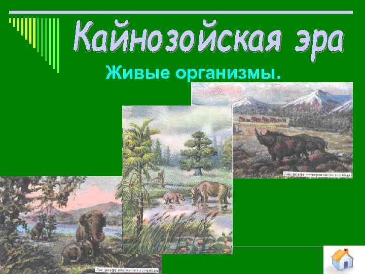 Живые организмы. 