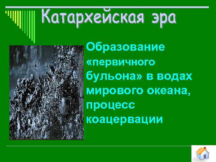 Образование «первичного бульона» в водах мирового океана, процесс коацервации 