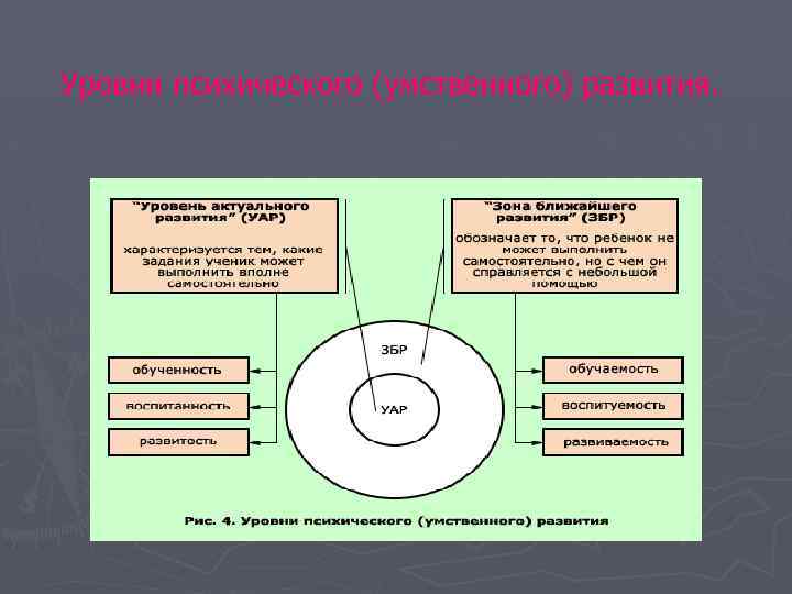 Уровни психического (умственного) развития. 