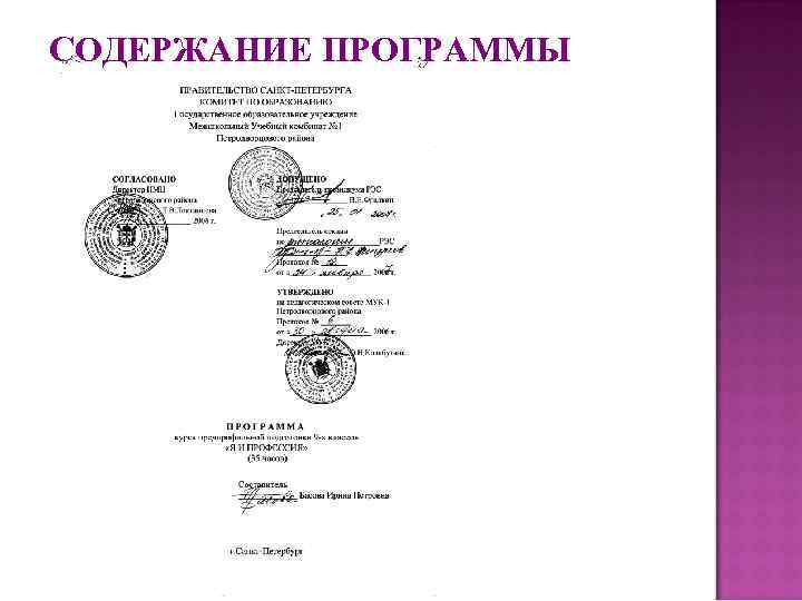 СОДЕРЖАНИЕ ПРОГРАММЫ 