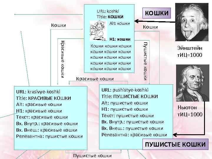 URL: koshki Title: КОШКИ Alt: кошки Красивые кошки URL: krasivye-koshki Title: КРАСИВЫЕ КОШКИ Alt: