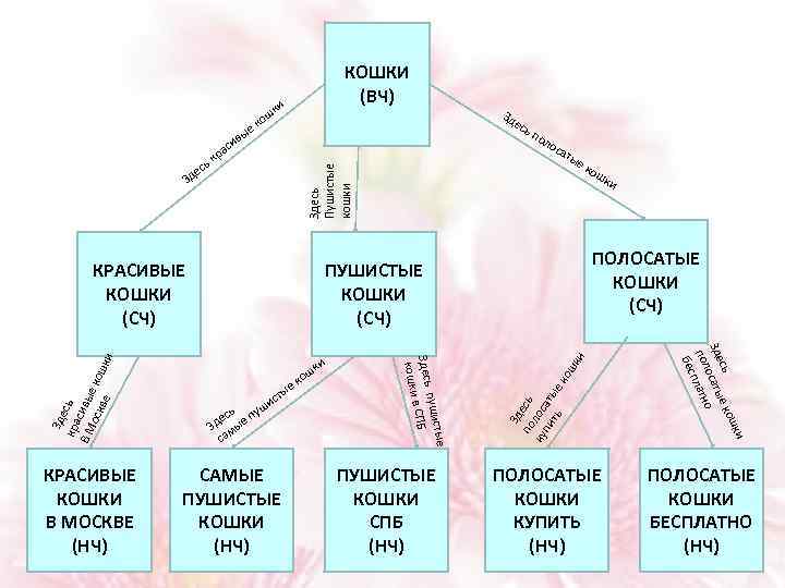 КОШКИ (ВЧ) ки ош к ые есь в си ра ь к Здесь Пушистые