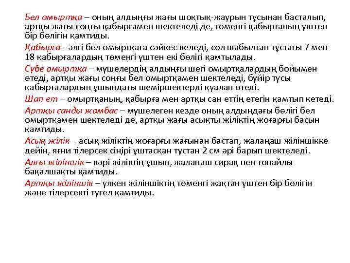 Бел омыртқа – оның алдыңғы жағы шоқтық-жаурын тұсынан басталып, артқы жағы соңғы қабырғамен шектеледі
