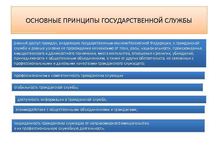 ОСНОВНЫЕ ПРИНЦИПЫ ГОСУДАРСТВЕННОЙ СЛУЖБЫ равный доступ граждан, владеющих государственным языком Российской Федерации, к гражданской