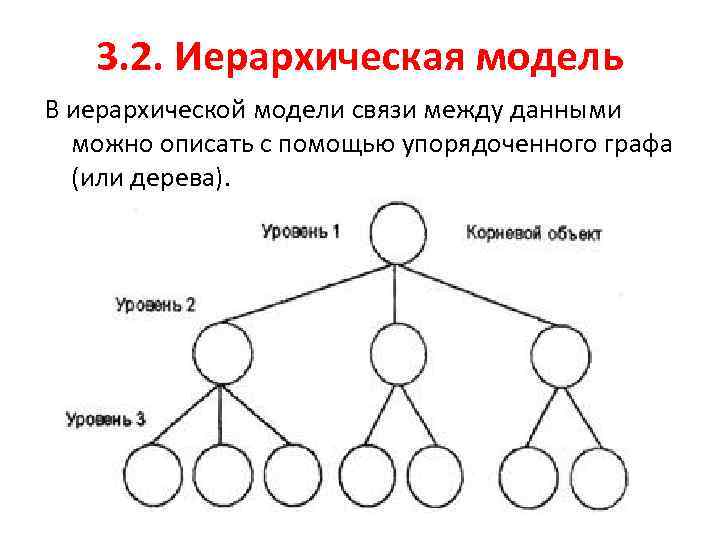 3. 2. Иерархическая модель В иерархической модели связи между данными можно описать с помощью