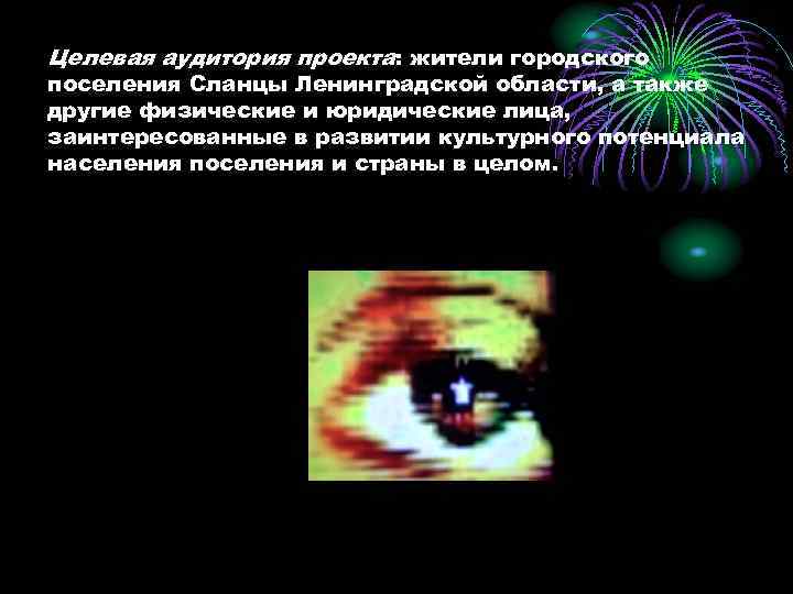 Целевая аудитория проекта: жители городского поселения Сланцы Ленинградской области, а также другие физические и
