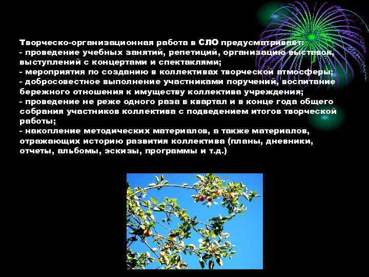 Творческо-организационная работа в СЛО предусматривает: - проведение учебных занятий, репетиций, организацию выставок, выступлений с
