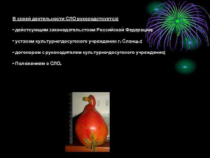 В своей деятельности СЛО руководствуется: - действующим законодательством Российской Федерации; - уставом культурно-досугового учреждения