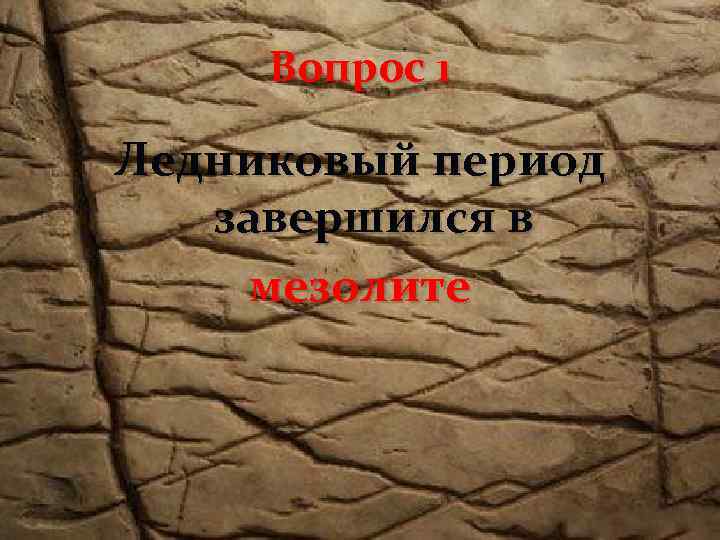 Вопрос 1 Ледниковый период завершился в мезолите 