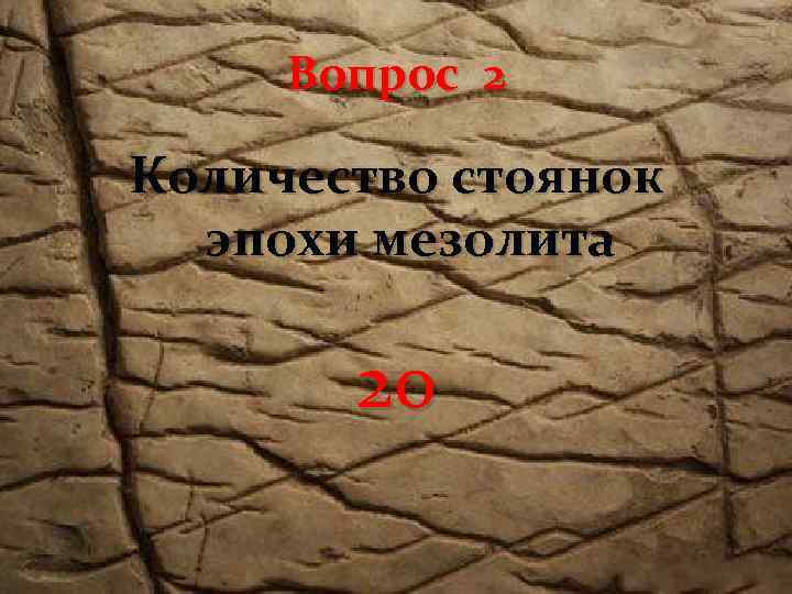 Вопрос 2 Количество стоянок эпохи мезолита 20 