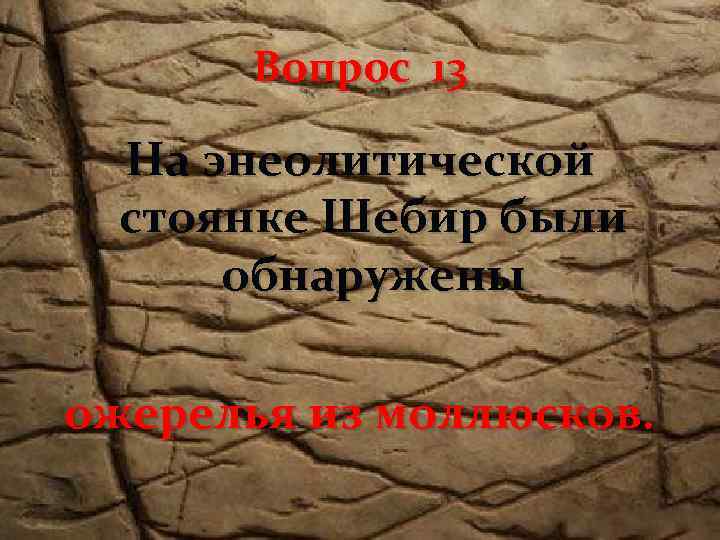 Вопрос 13 На энеолитической стоянке Шебир были обнаружены ожерелья из моллюсков. 