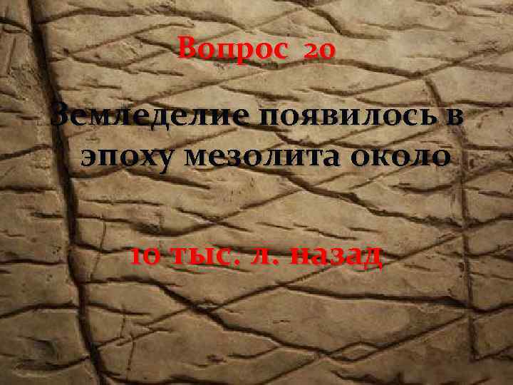 Вопрос 20 Земледелие появилось в эпоху мезолита около 10 тыс. л. назад 