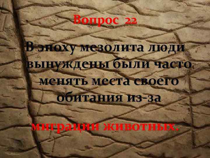 Вопрос 22 В эпоху мезолита люди вынуждены были часто менять места своего обитания из-за