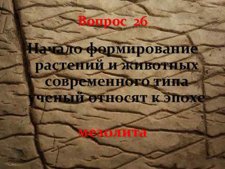 Вопрос 26 Начало формирование растений и животных современного типа ученый относят к эпохе мезолита