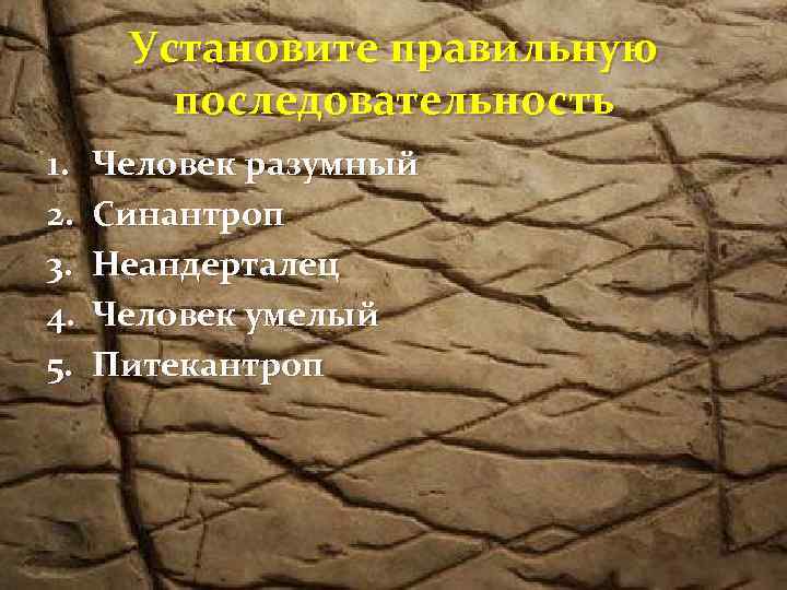 Установите правильную последовательность 1. 2. 3. 4. 5. Человек разумный Синантроп Неандерталец Человек умелый