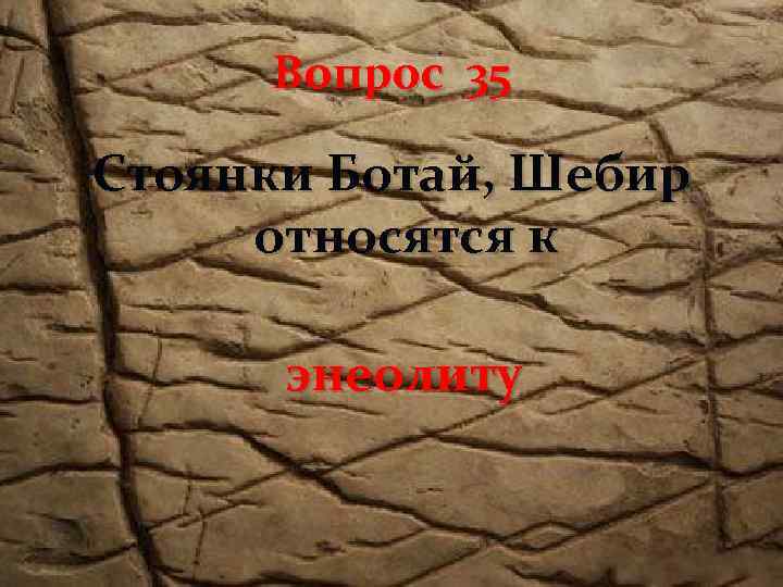 Вопрос 35 Стоянки Ботай, Шебир относятся к энеолиту 