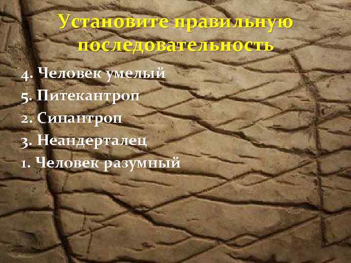 Установите правильную последовательность 4. Человек умелый 5. Питекантроп 2. Синантроп 3. Неандерталец 1. Человек
