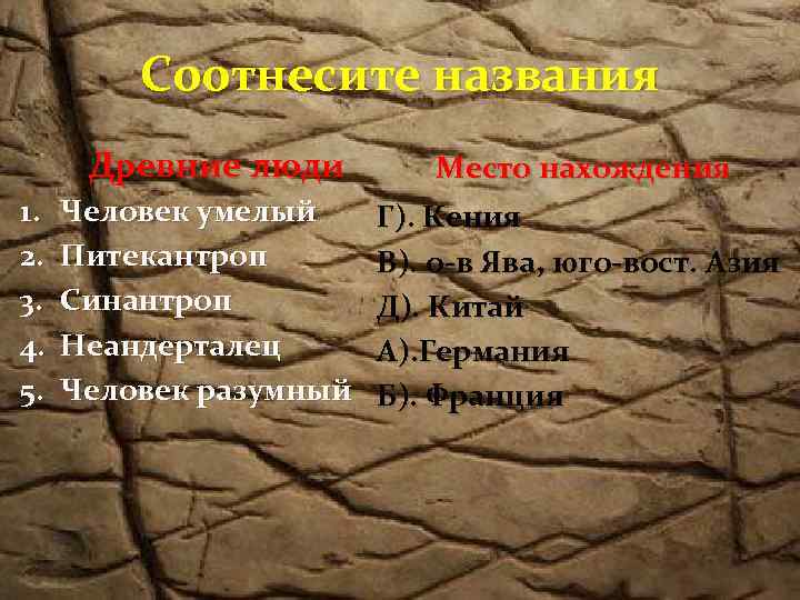 Соотнесите названия Древние люди 1. 2. 3. 4. 5. Человек умелый Питекантроп Синантроп Неандерталец