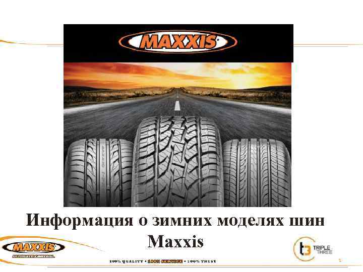 Информация о зимних моделях шин Maxxis 1 