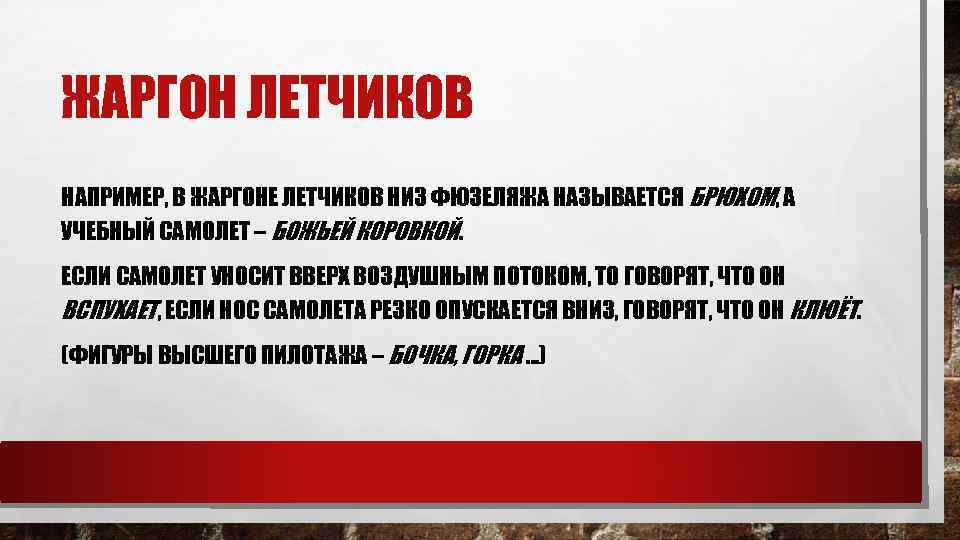 ЖАРГОН ЛЕТЧИКОВ НАПРИМЕР, В ЖАРГОНЕ ЛЕТЧИКОВ НИЗ ФЮЗЕЛЯЖА НАЗЫВАЕТСЯ БРЮХОМ, А УЧЕБНЫЙ САМОЛЕТ –