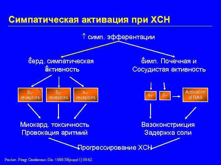 Симпатическая активация при ХСН симп. эфферентации серд. симпатическая с активность а 1 receptors 2