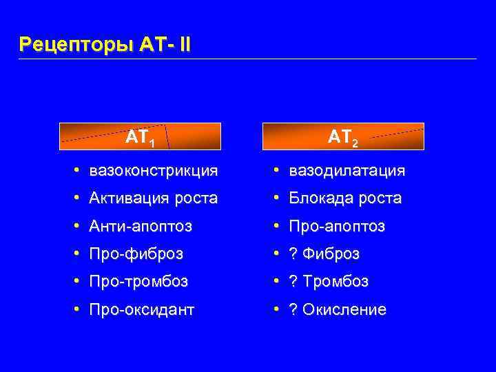 Рецепторы АТ- II AT 1 AT 2 • вазоконстрикция • вазодилатация • Активация роста