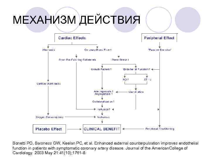 МЕХАНИЗМ ДЕЙСТВИЯ Bonetti PO, Barsness GW, Keelan PC, et al. Enhanced external counterpulsation improves