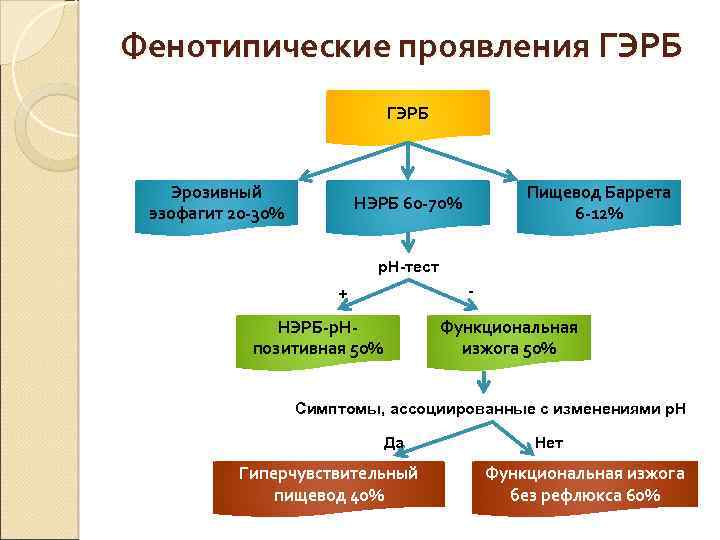 Фенотипические проявления ГЭРБ Эрозивный эзофагит 20 -30% Пищевод Баррета 6 -12% НЭРБ 60 -70%
