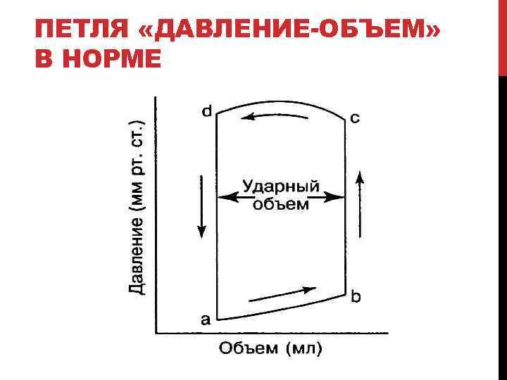 ПЕТЛЯ «ДАВЛЕНИЕ-ОБЪЕМ» В НОРМЕ 