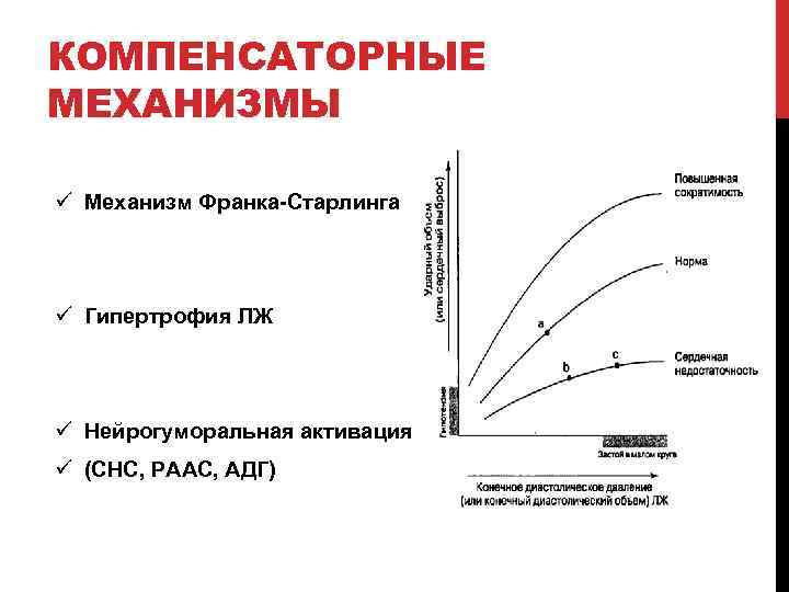 КОМПЕНСАТОРНЫЕ МЕХАНИЗМЫ ü Механизм Франка-Старлинга ü Гипертрофия ЛЖ ü Нейрогуморальная активация ü (СНС, РААС,